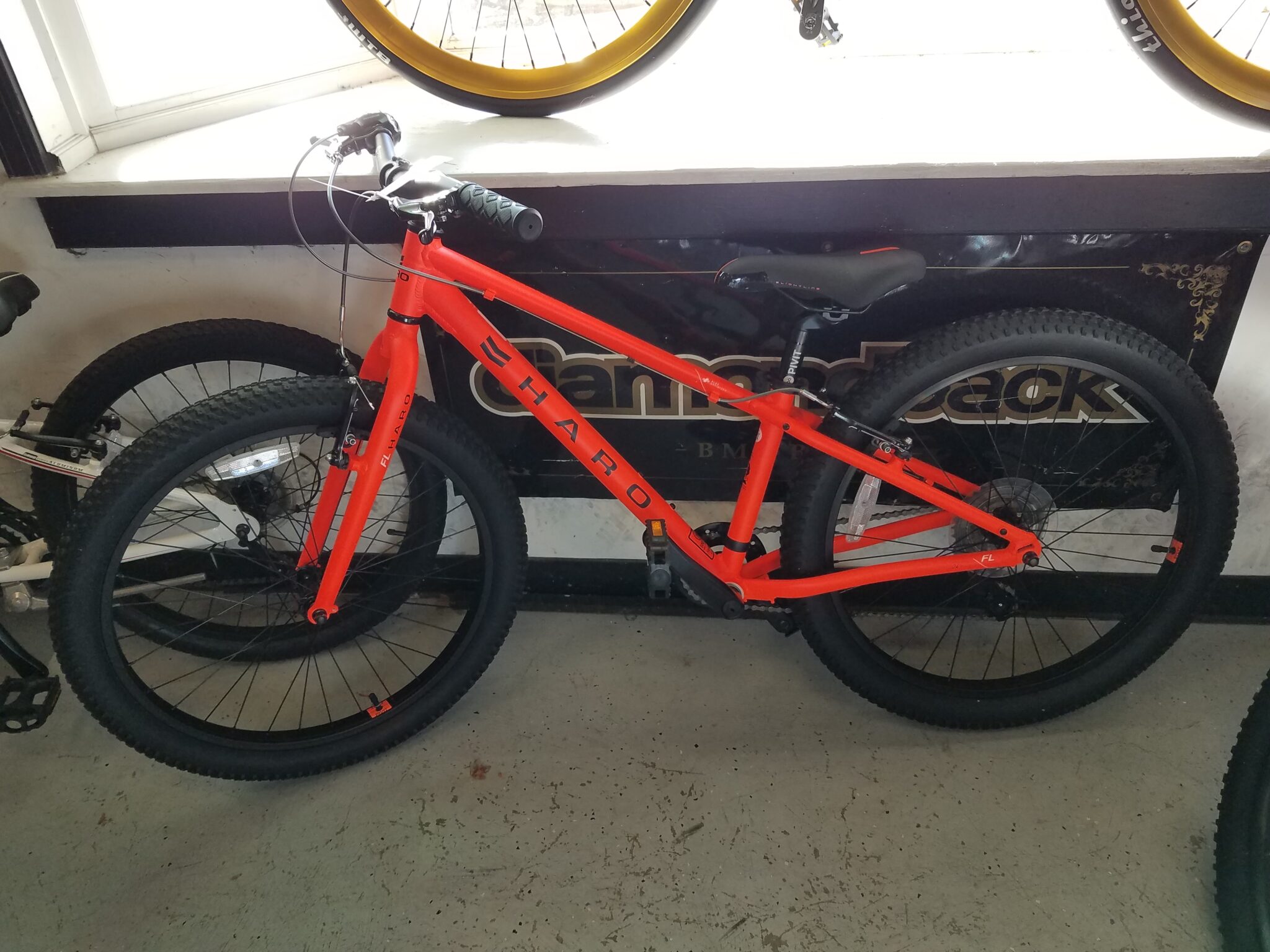 cannondale climbing bike